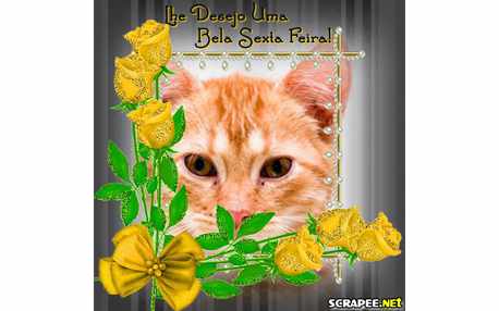 Moldura - Bela Sexta