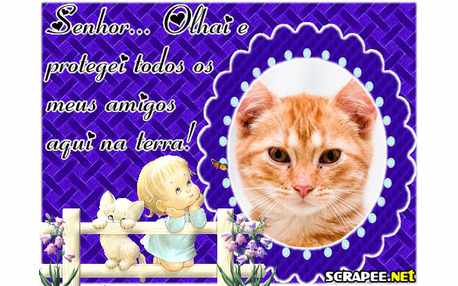 Moldura - Guarda Meus Amigos