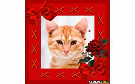 Moldura - Anjinho Com Flexa