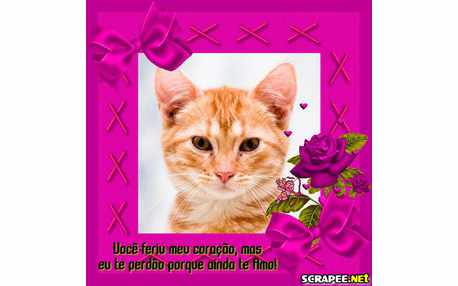 Moldura - Porque Teamo