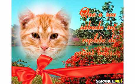 Moldura - Cartao Com Laco