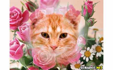 Moldura - Muitas Flores