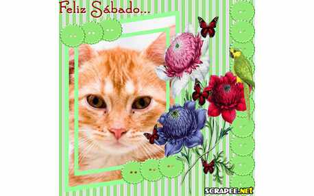 Moldura - Moldura De Flor