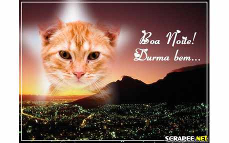 Moldura - Vc Estrela Da Noite