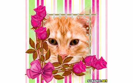 Moldura - Dois Boques