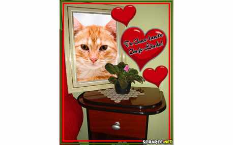 Moldura - Anjo Lindo