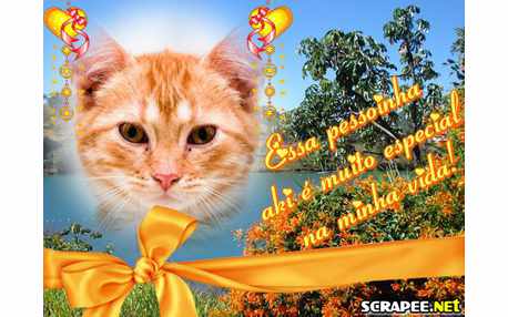 Moldura - Vc E Especial