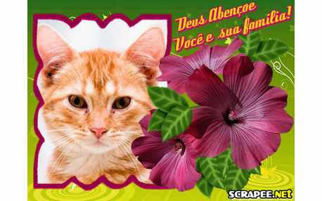 Moldura - Senho Te Abencoe