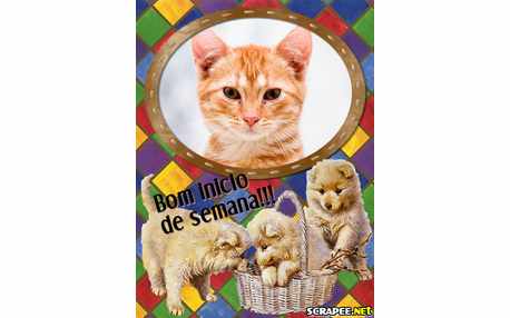 Moldura - Cachorrada