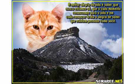 Moldura - Melhor Alegria