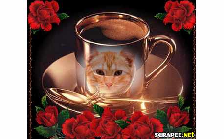 Moldura - Foto Na Xicara