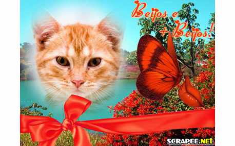 Moldura - Muitos Beijos