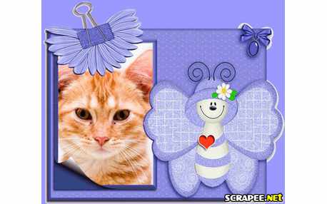 Moldura - Borboleta De Careta