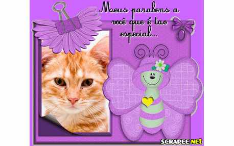 Moldura - Meus Parabens