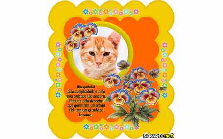 Moldura - Amizade Sincera