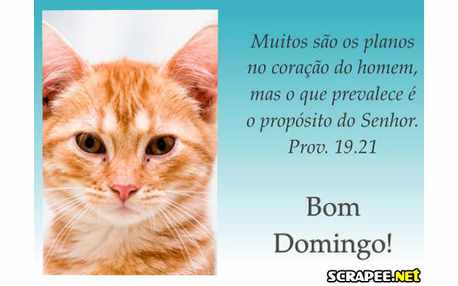 Moldura - Mensagen Biblica