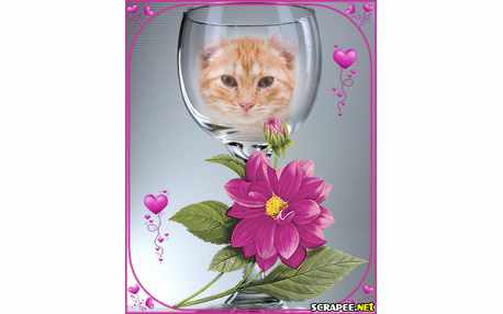 Moldura - Taca E Dalia Vinho