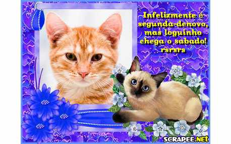 Moldura - Segunda Denovo