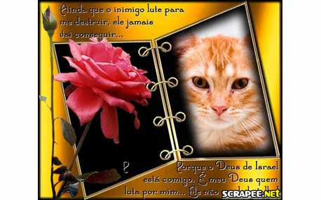 Moldura - Deus Nao Perde