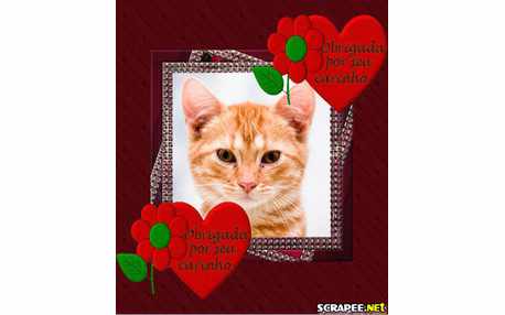 Moldura - Obrigada Pelo Carinho