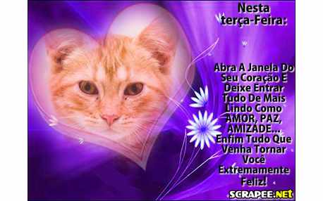 Moldura - Nesta Terca Feira