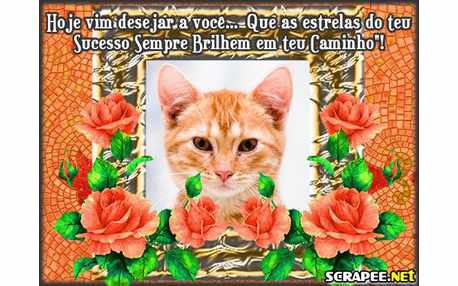 Moldura - Vim Desejar Te