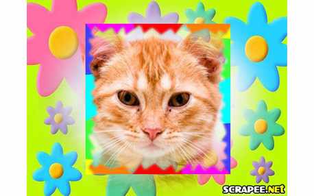 Moldura - Moldura Florida