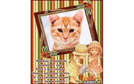 Moldura - Beleza Da Vida