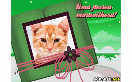 Moldura - Pessoa Maravilhosa