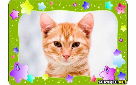 Moldura - Borda Infantil Verde