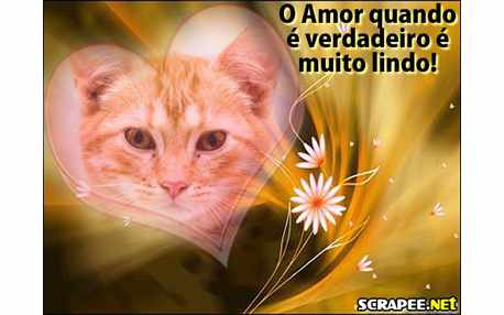 Moldura - Amor Verdadeiro