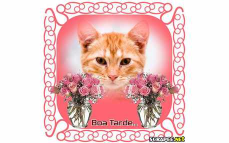 Moldura - Tardezinha