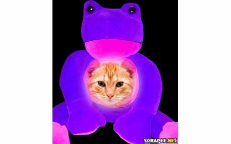 Moldura - Sapao Rosa