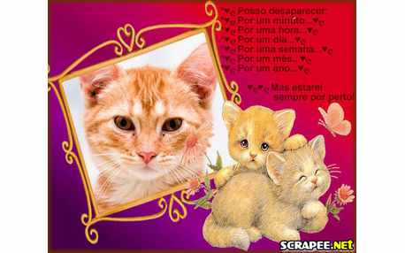 Moldura - Estarei Por Perto