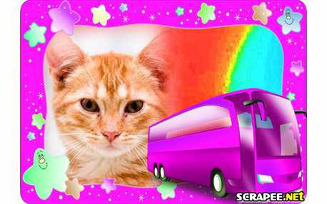 Moldura - Onibus Rosa