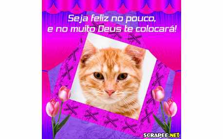 Moldura - Deus Te Colocara