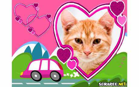 Moldura - Fusca Rosa