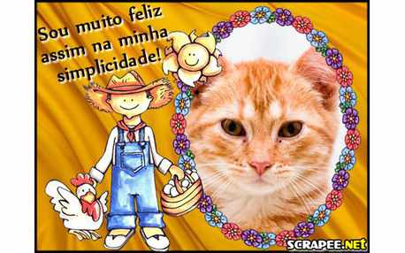 Moldura - Simplicidade