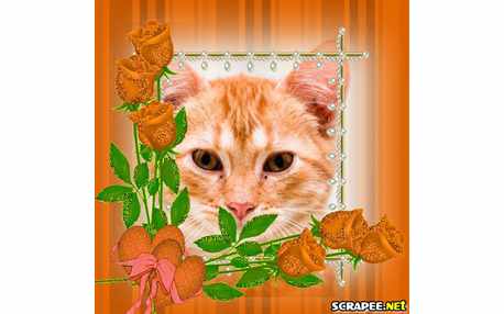 Moldura - Botoes Larajados