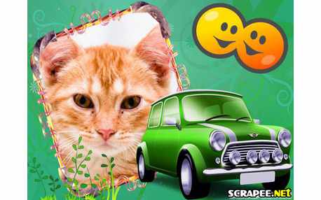 Moldura - Carro Verde