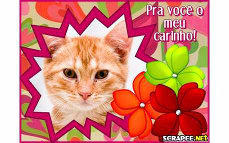 Moldura - Meu Carinho