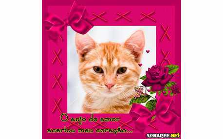 Moldura - Anjo Do Amor