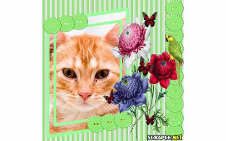 Moldura - Moldura Com Flores