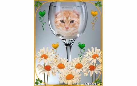 Moldura - Taca Com Margaridas