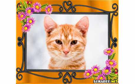 Moldura - Borda Florida