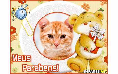 Moldura - Moldura De Parabens