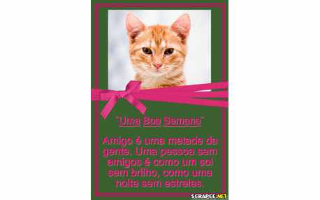 Moldura - Scrap Com Foto