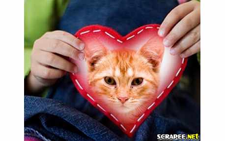 Moldura - Foto No Coracao