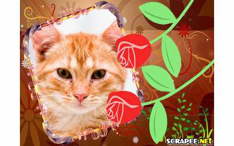 Moldura - 2 Botoes De Rosa