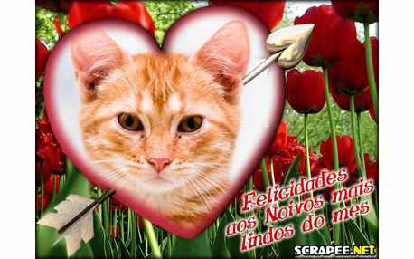 Moldura - Nivos Do Mes